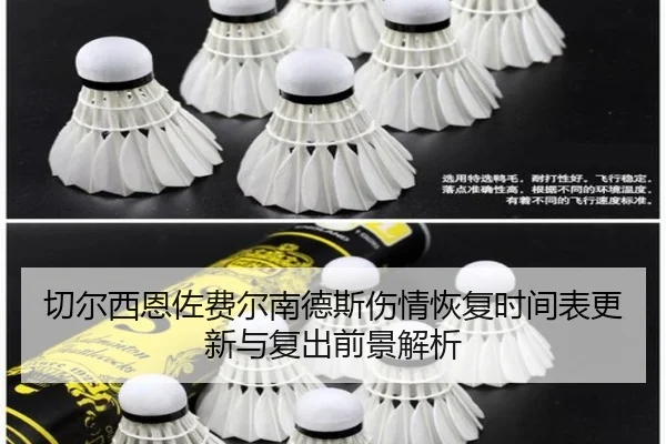 切尔西恩佐费尔南德斯伤情恢复时间表更新与复出前景解析 | kaiyun