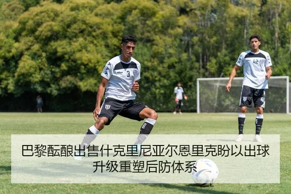 巴黎酝酿出售什克里尼亚尔恩里克盼以出球升级重塑后防体系 | kaiyun